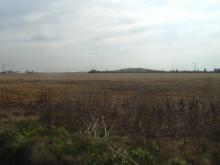 Segunda Caminata por el arroyo Saladillo